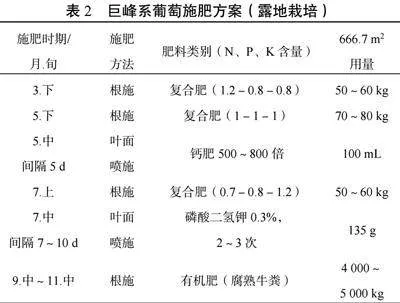 宝鸡市葡萄园土壤养分存在问题与施肥对策