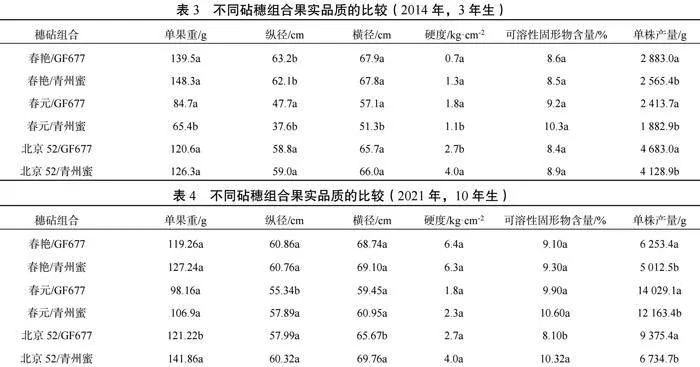 桃树抗重茬砧木筛选研究
