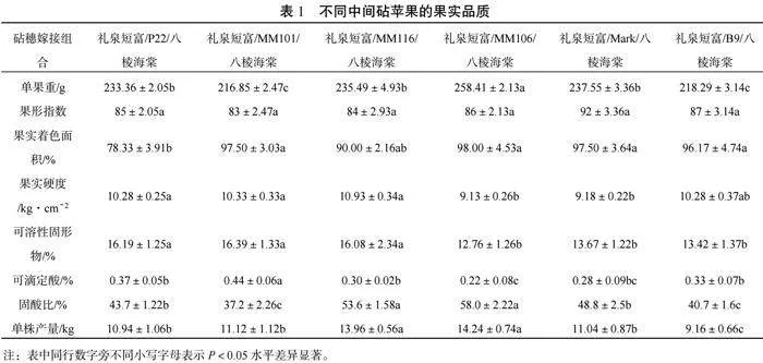 6种矮化中间砧嫁接礼泉短富对果实品质的影响