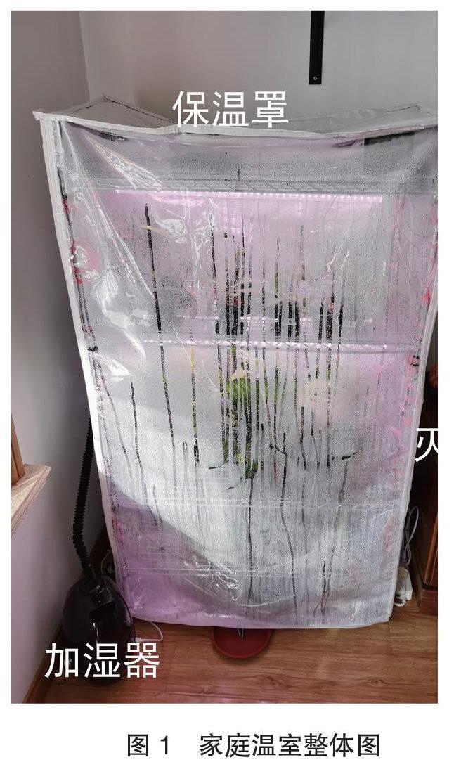 怎样给热带植物搭建一个家用温室?