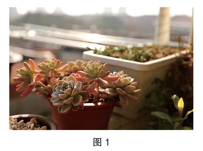 上海的阳台搭载小小的爱好