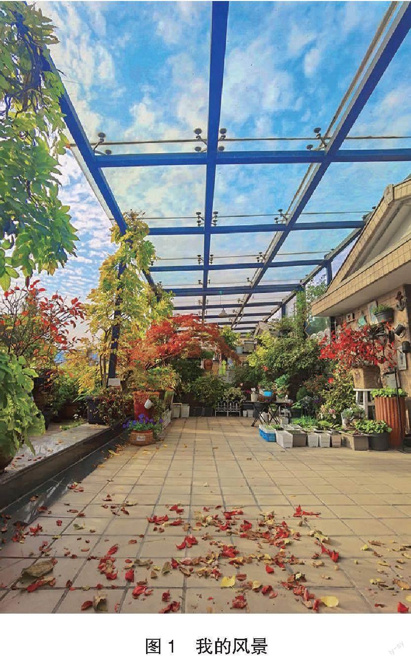 我的风景