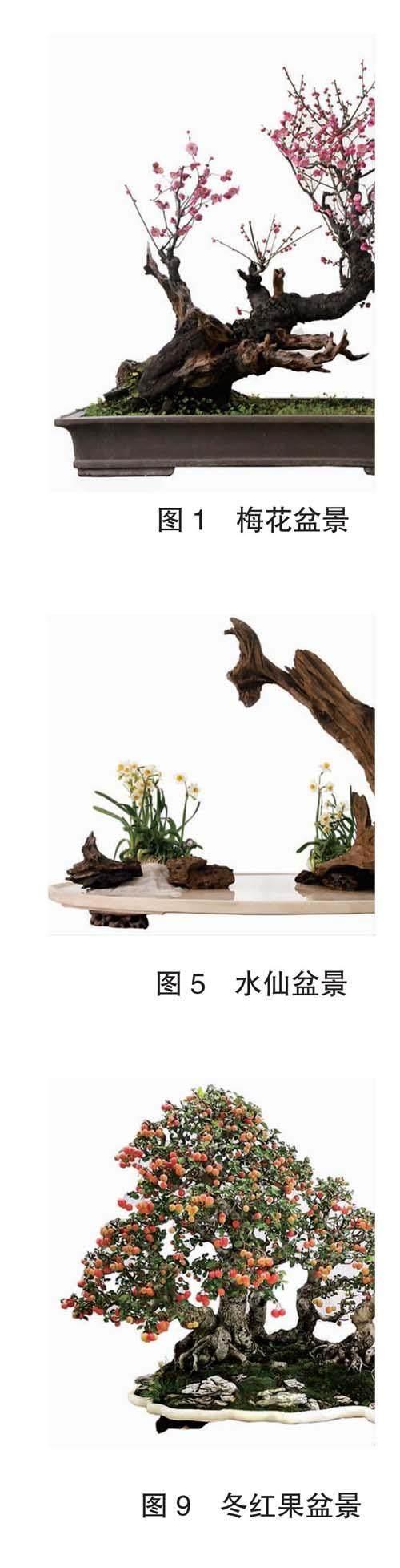 春花秋实