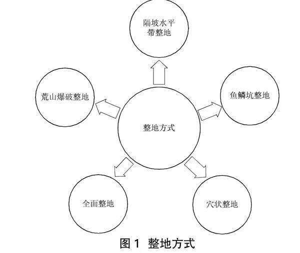 山西地区荒山造林技术研究