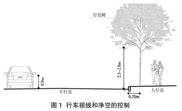 海绵城市视角下的道路绿化景观设计