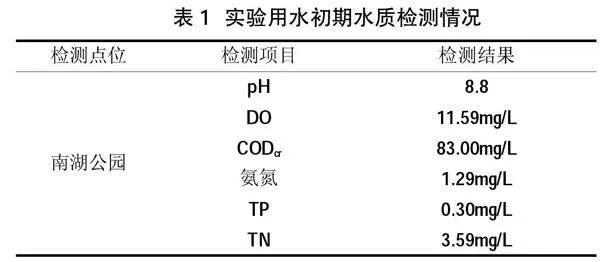 沧州市常见水生植物水质净化效果分析