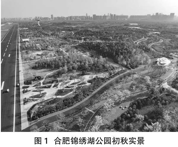 园林绿化施工与养护管理关键点分析