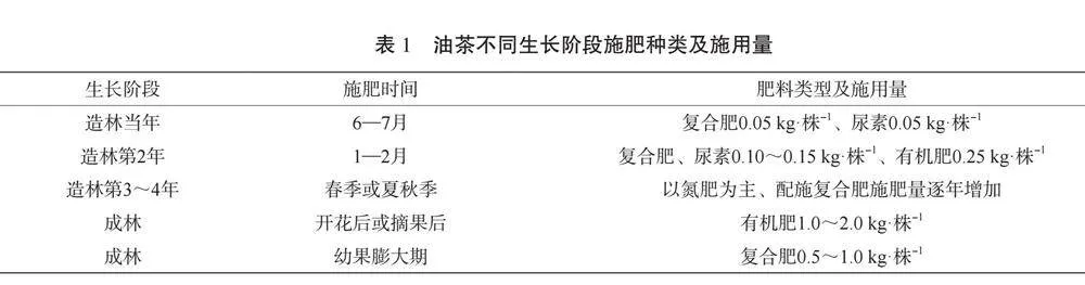 广西大桂山林场油茶栽培技术探讨
