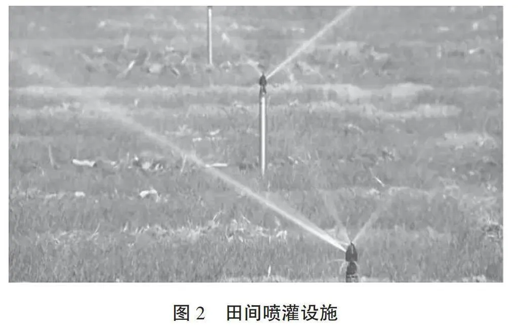 宁津县小麦全程机械化高产栽培技术要点