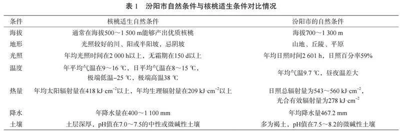 汾阳市核桃产业发展存在的问题及其对策