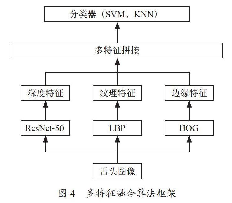 基于深度学习与多特征融合的舌象诊断算法