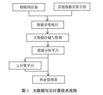 智慧林业在基层林业管理中的应用策略