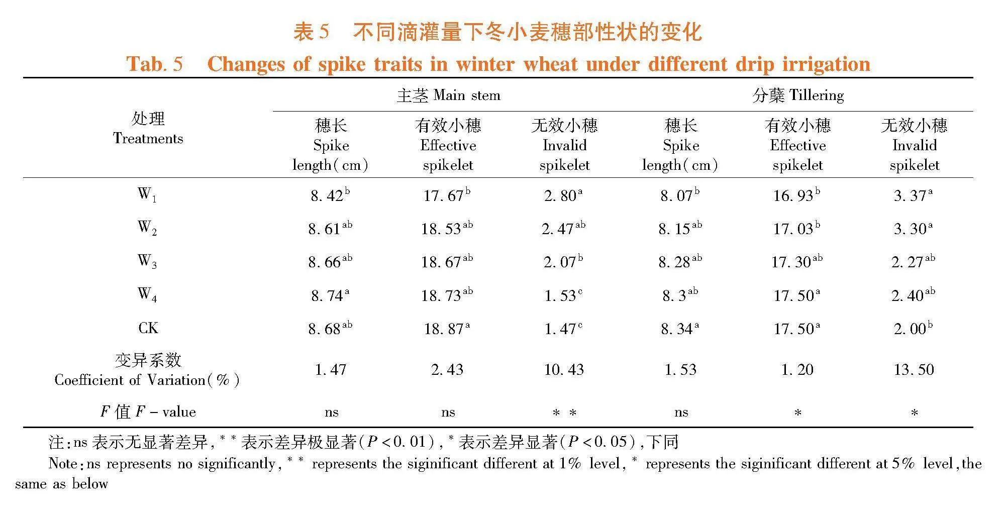 不同滴灌量对匀播冬小麦生长发育和产量的影响