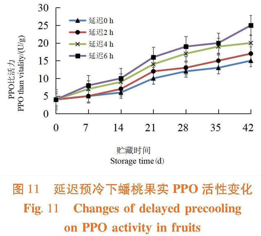 延迟预冷结合过氧化氢熏蒸对蟠桃贮藏品质及生理特性的影响