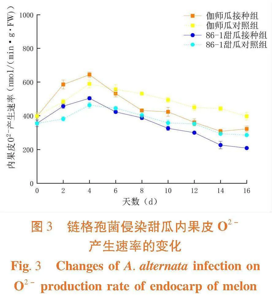 链格孢菌侵染对甜瓜不同组织活性氧代谢的影响