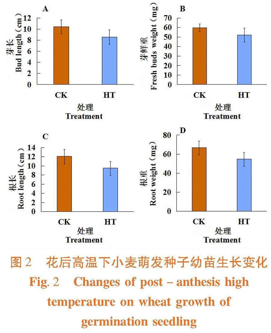 花后高温胁迫对小麦籽粒萌发及相关酶活性影响