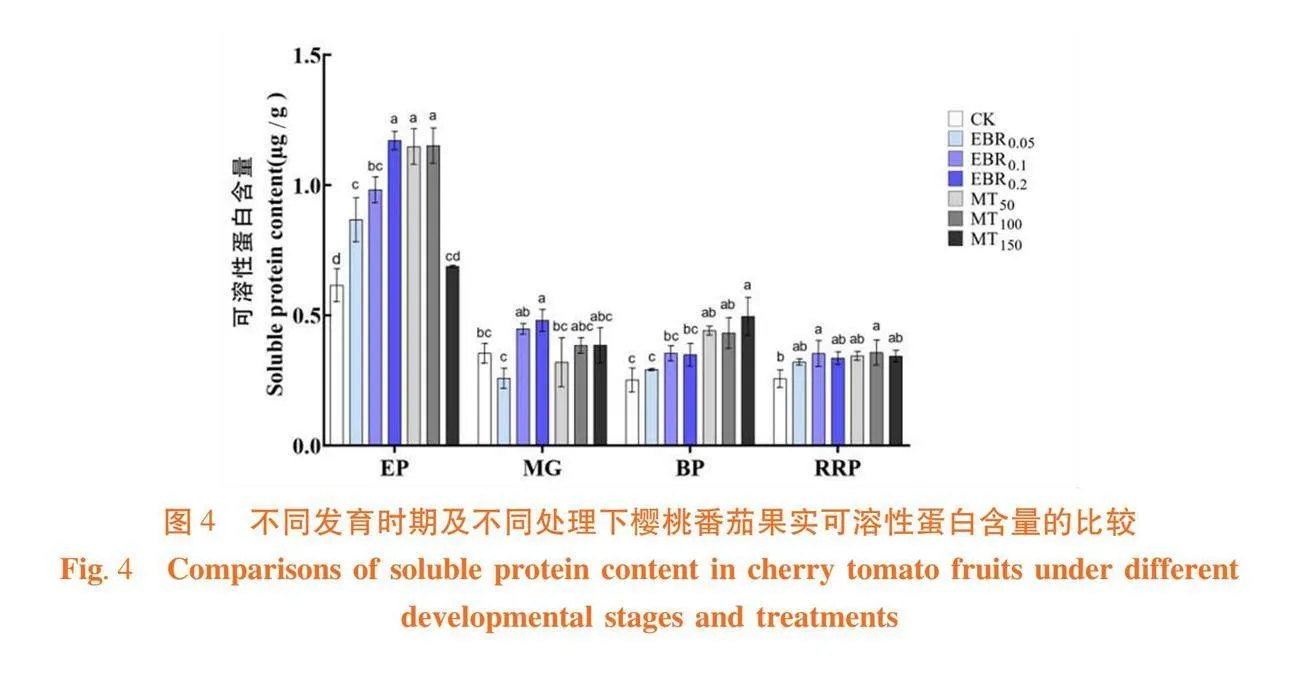 外源2,4-表油菜素内酯及褪黑素对樱桃番茄果实品质和果皮形态结构的影响