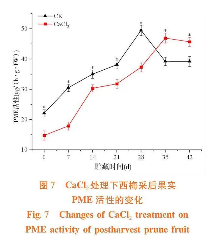 采前喷施CaCl2对西梅采后果实软化品质的影响