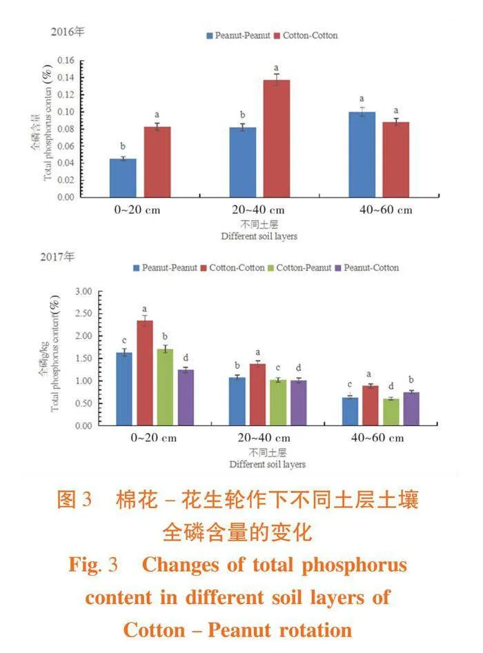 棉花-花生轮作模式对土壤养分及其产量的影响