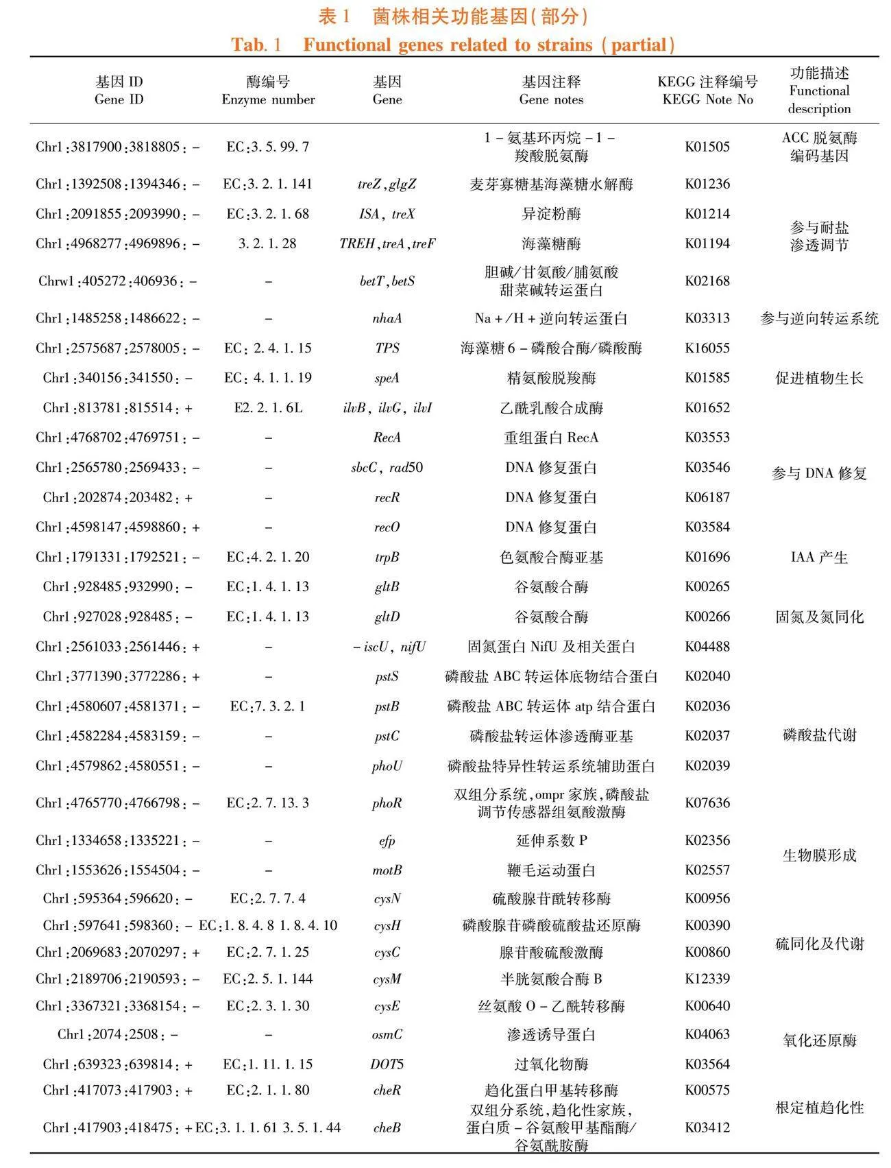 一株海洋杆菌属新菌种XAAS-72T的植物促生功能分析及ACC脱氨酶蛋白结构预测