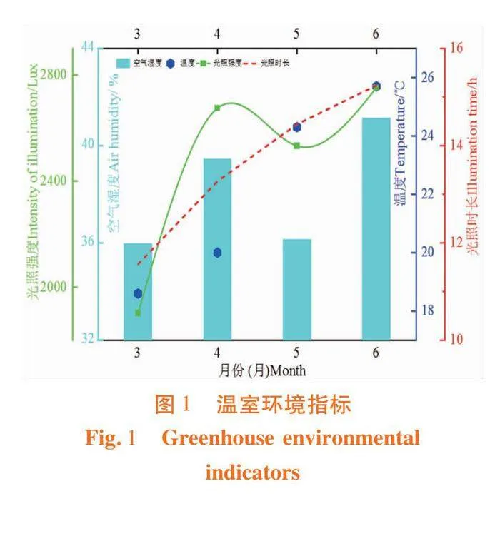 不同基质和播种密度对洋葱小鳞茎产出个数的影响