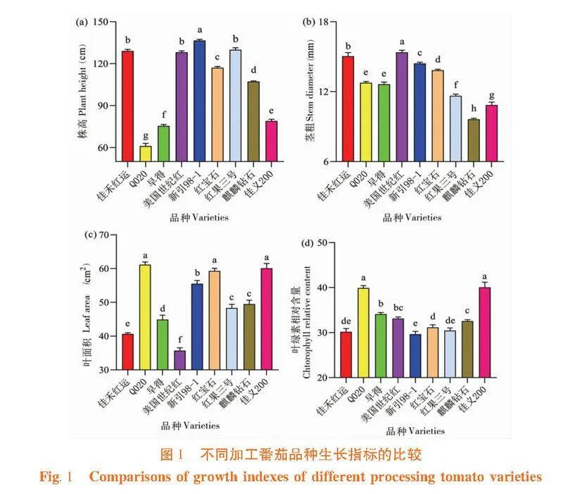 不同加工番茄品种的农艺性状比较分析