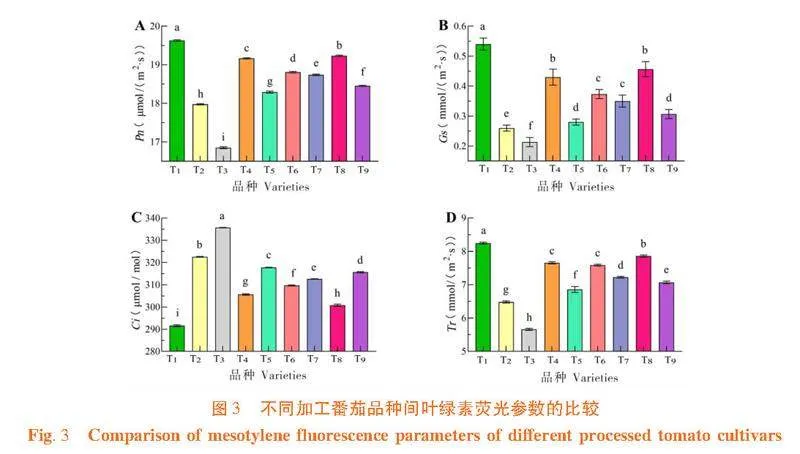 基于主成分分析比较不同加工番茄品种叶绿素的荧光参数及光合特性