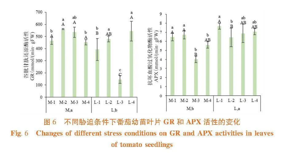 盐、碱及复合盐碱胁迫对番茄幼苗光合特性及抗氧化酶活性的影响