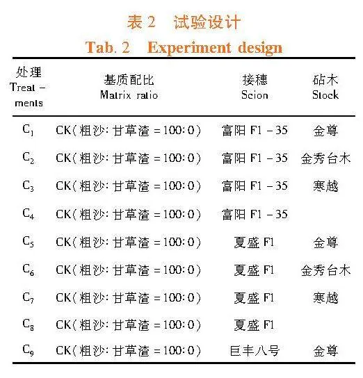 不同基质配比及砧穗组合对黄瓜生长发育的影响