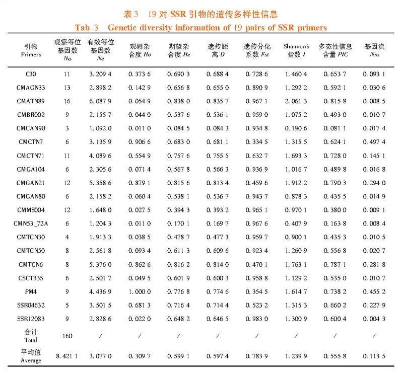 基于SSR荧光标记的新疆甜瓜种质资源遗传多样性与群体结构分析