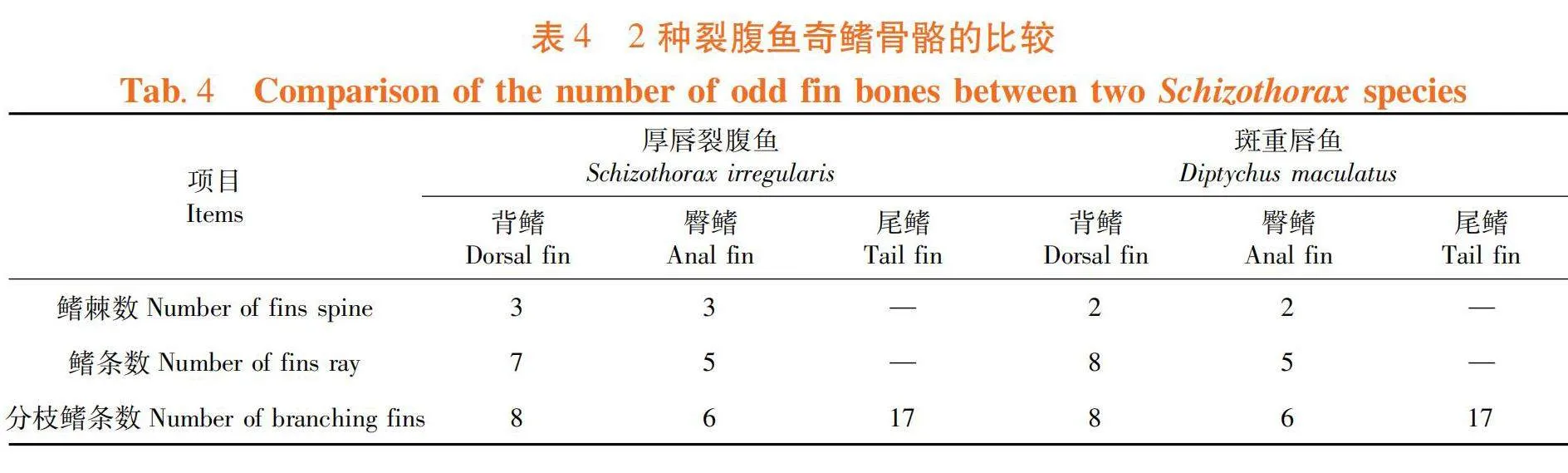 塔里木河水系2种裂腹鱼类形态特征和骨骼形态的差异比较