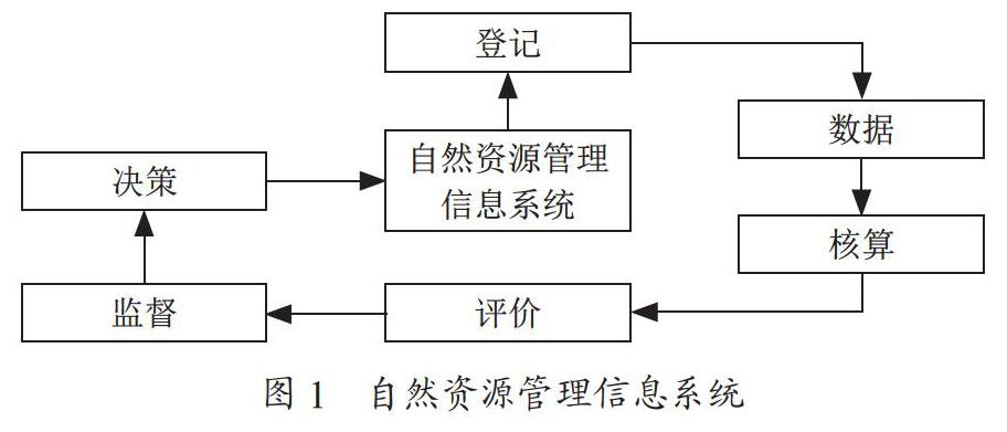 自然资源信息系统建设和维护