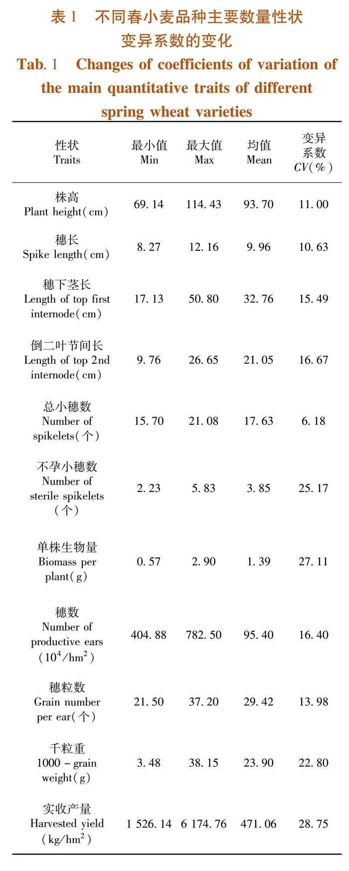 不同春小麦品种在新疆旱作区产量形成的特征分析