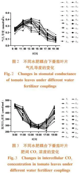水肥耦合对沙培番茄叶绿素含量以及光合特性日变化的影响