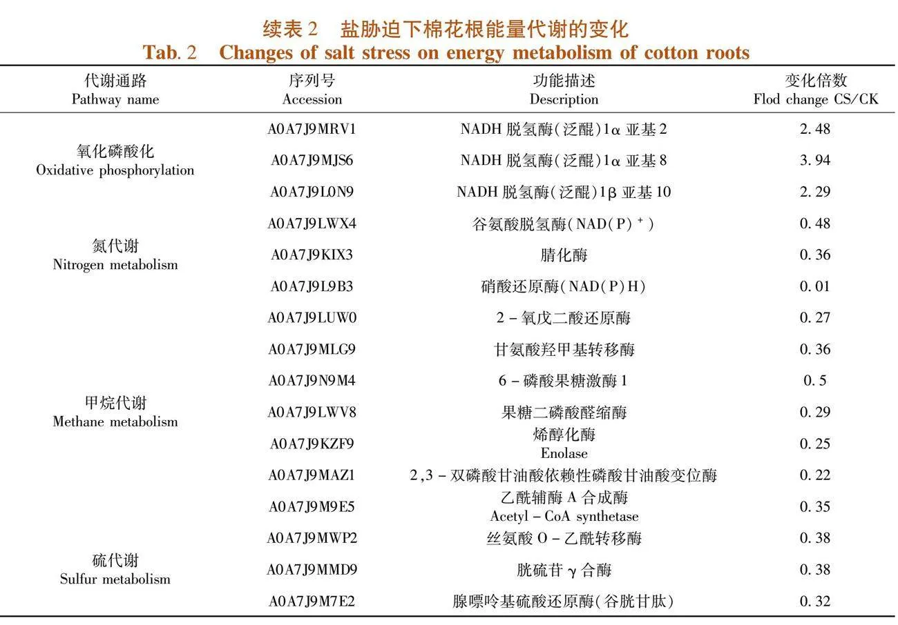 不同盐碱胁迫对棉花根系蛋白质组的影响