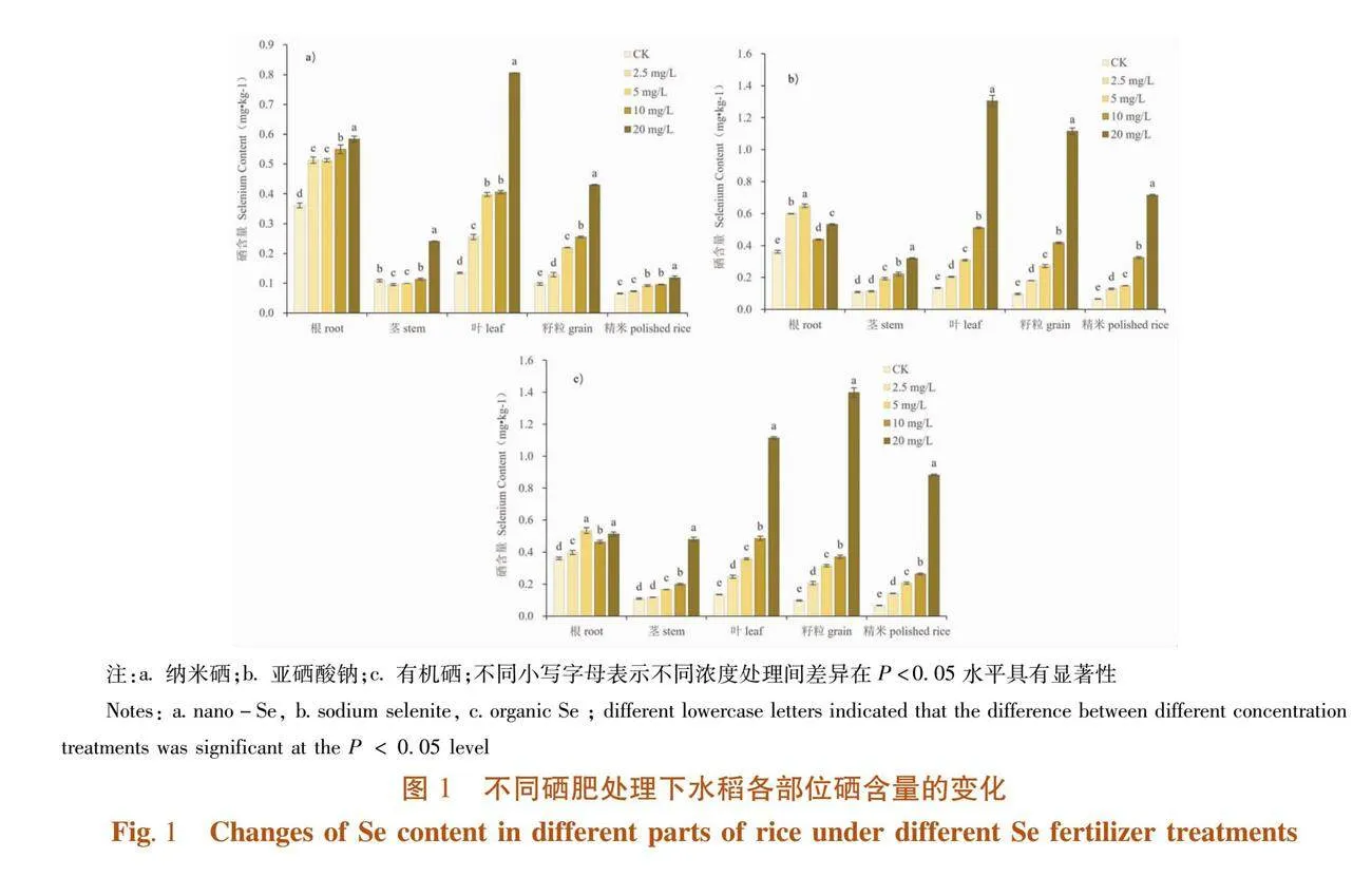 外源硒对水稻硒吸收和转运的影响