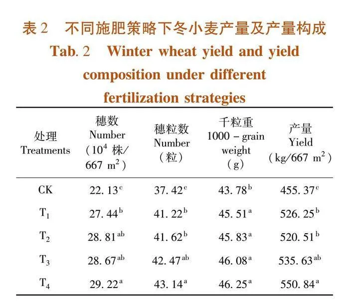 不同氮肥配施腐殖酸策略对冬小麦光合特性及产量的影响