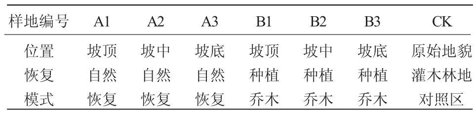 不同植被恢复模式对煤矸石堆土壤理化性质的影响*——以大杨树煤矿区为例