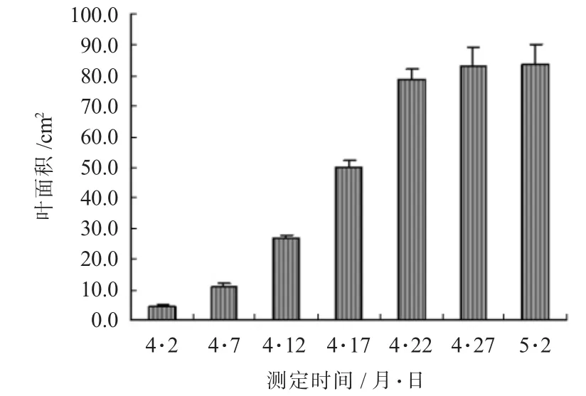 春季杨树叶片发育过程的研究*