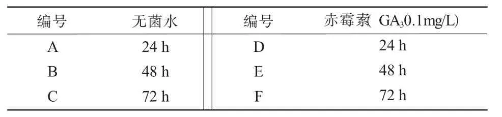 酸浆种子诱导分化试验*