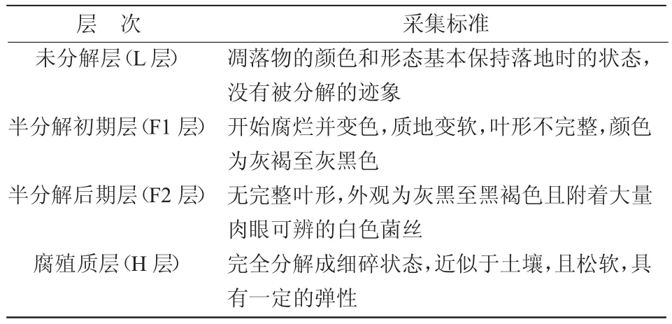 樟子松凋落物中可培养真菌多样性的研究