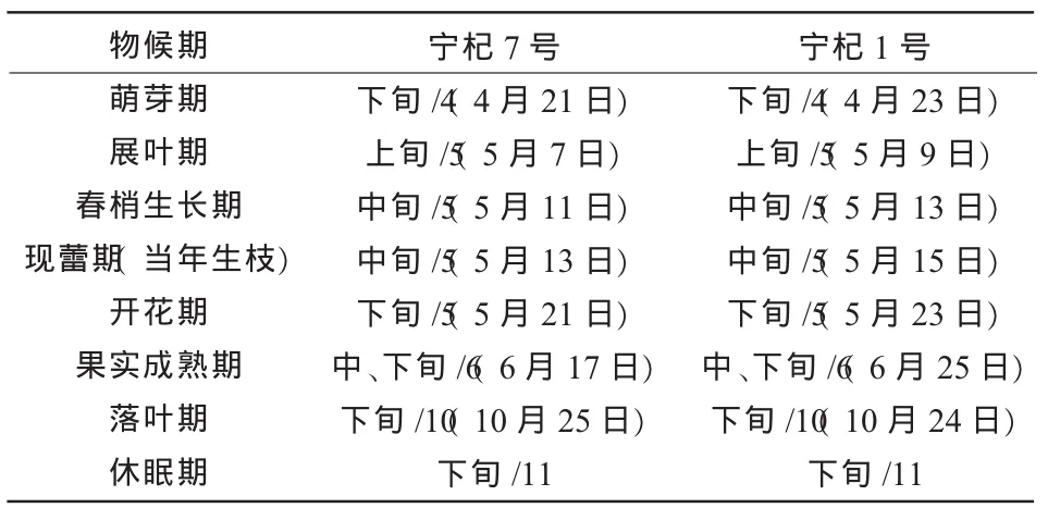 宁杞7号枸杞在张掖市的引种表现及生长发育规律研究