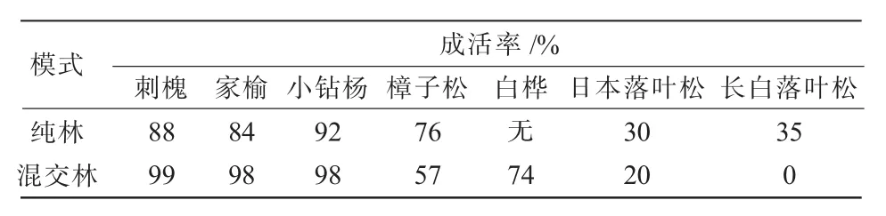 废弃矸石山营造用材林树种的选择与效果评价