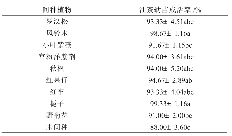 9种间种植物对油茶幼林生长的影响*