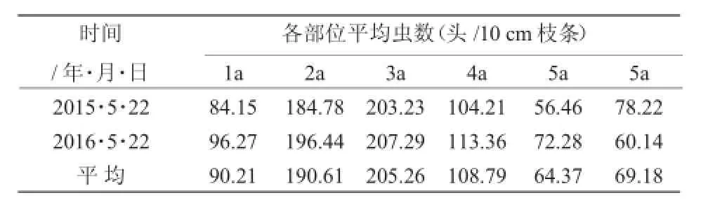 赤峰市山杏上朝鲜球坚蚧的生物学特性研究