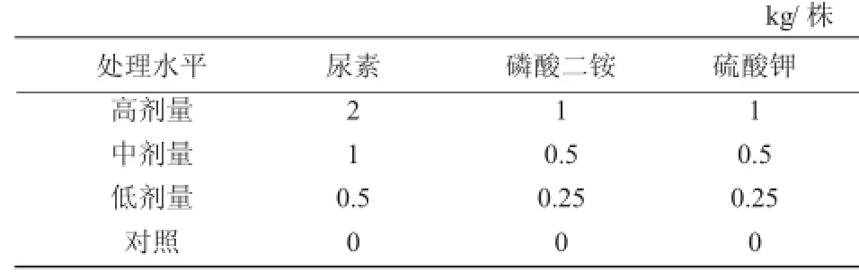 不同施肥处理对核桃幼苗光合特性的影响