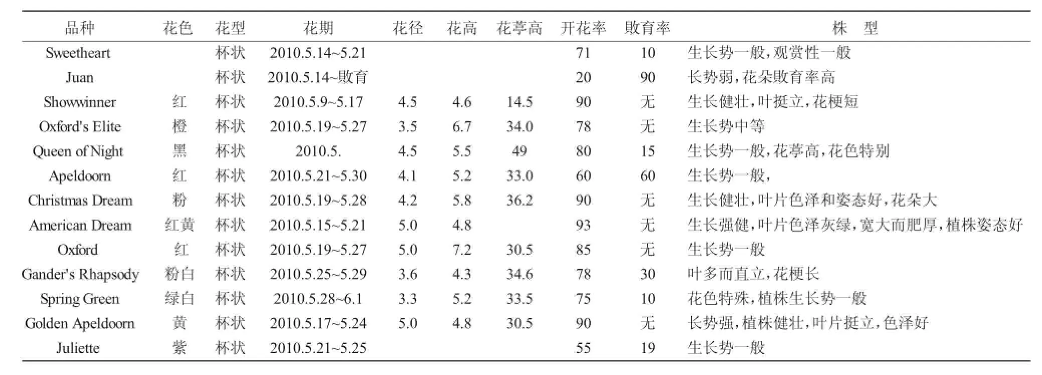 郁金香盆栽技术研究