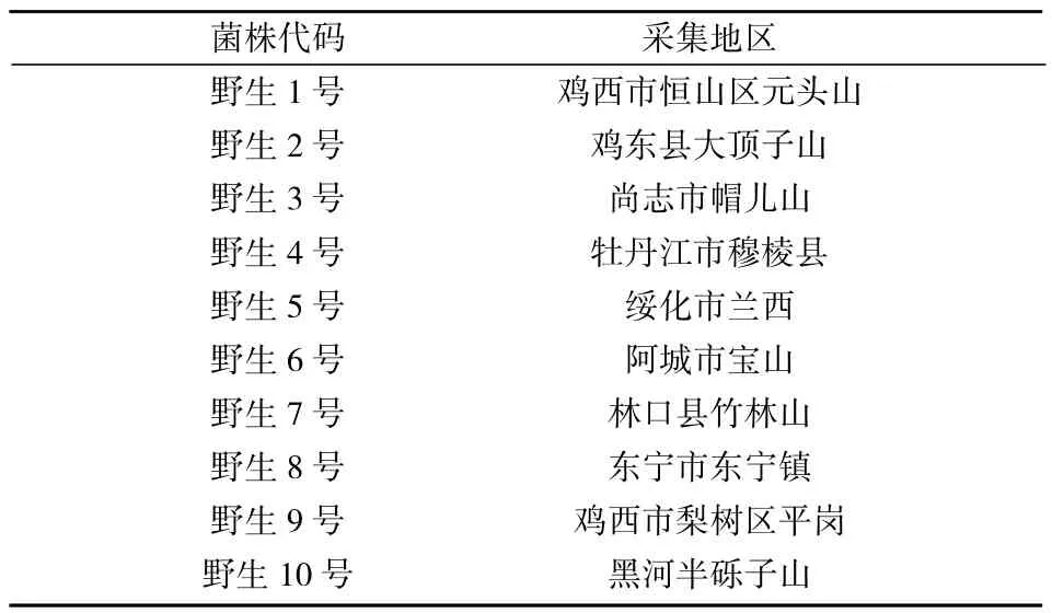 寒地野生黑木耳人工驯化技术研究
