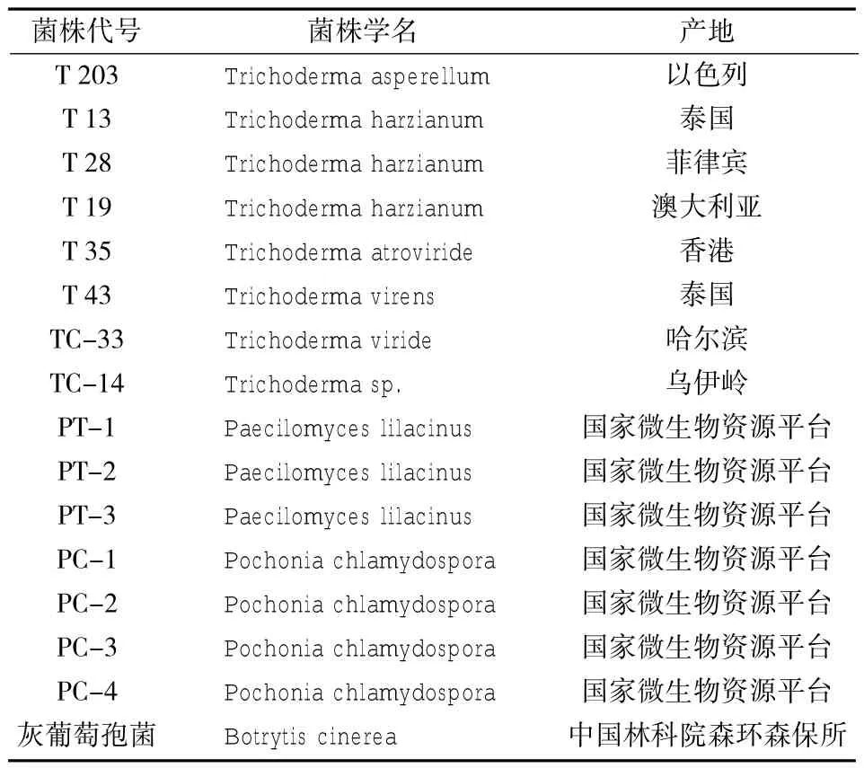 15个生防菌株乙酸乙酯提取物对松材线虫的杀虫活性*