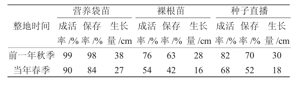 黄土高原丘陵沟壑区困难立地条件柠条造林试验